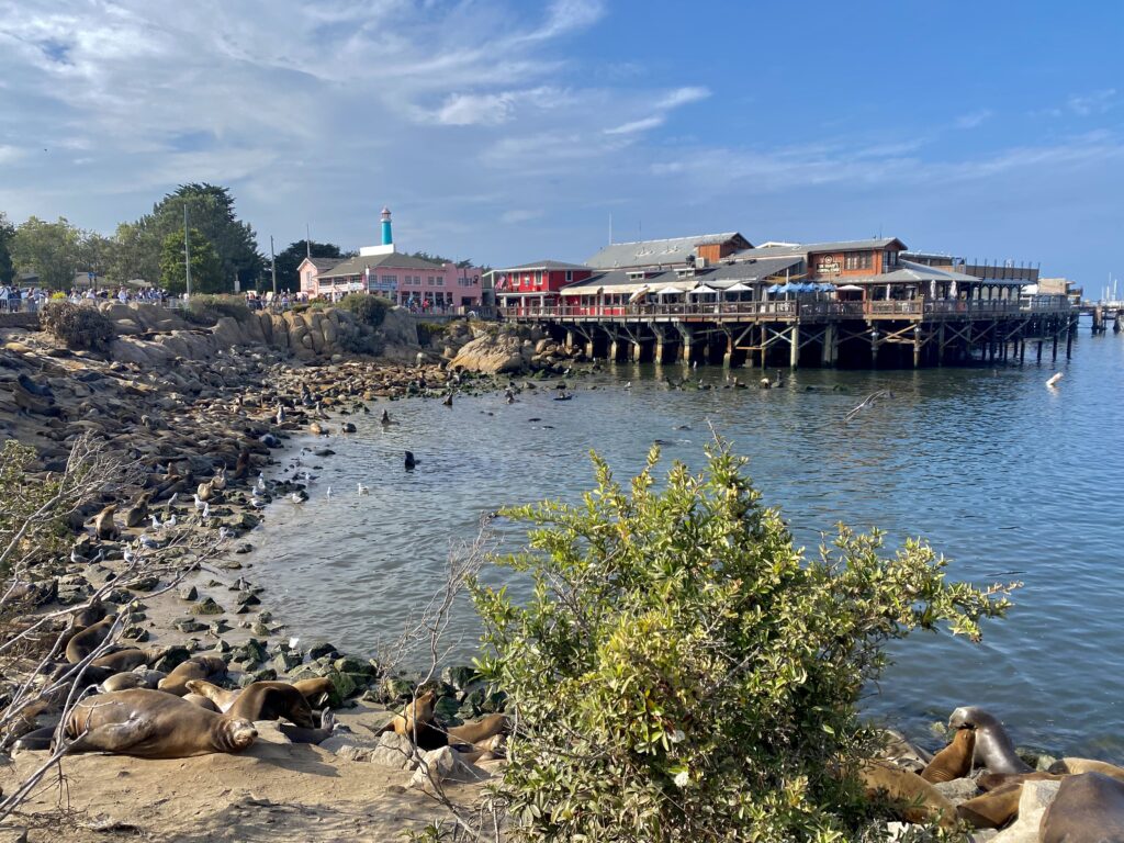 Old Fisherman's Wharf